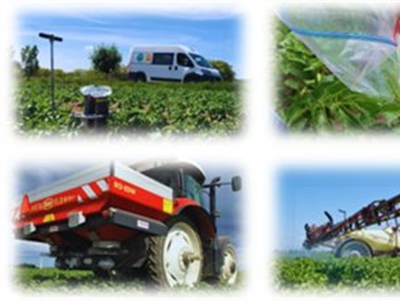 BIJBEMEST: Gefractioneerd bemesten in late aardappelen