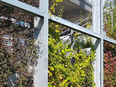 ReGreeneration: bouwen aan groene, veerkrachtige en sociaal inclusieve slimme steden