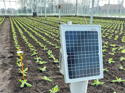 MIRLET.C4G - Model IRrigation in LETuce.Care4Growing