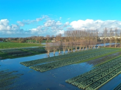 Sterke kwaliteitsdaling door extreme neerslag