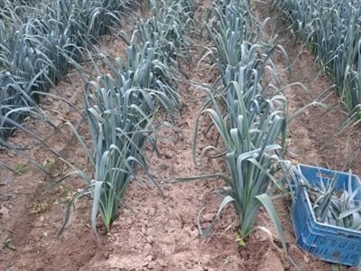 Demonstratieproject KNS 2.0 – blog 3