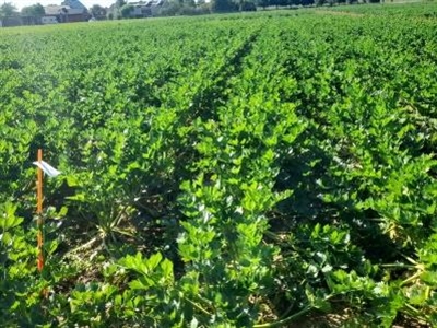 Demonstratieproject KNS 2.0 – blog 2