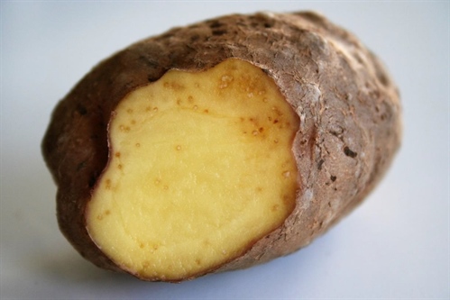 Doorgesneden aardappelknol