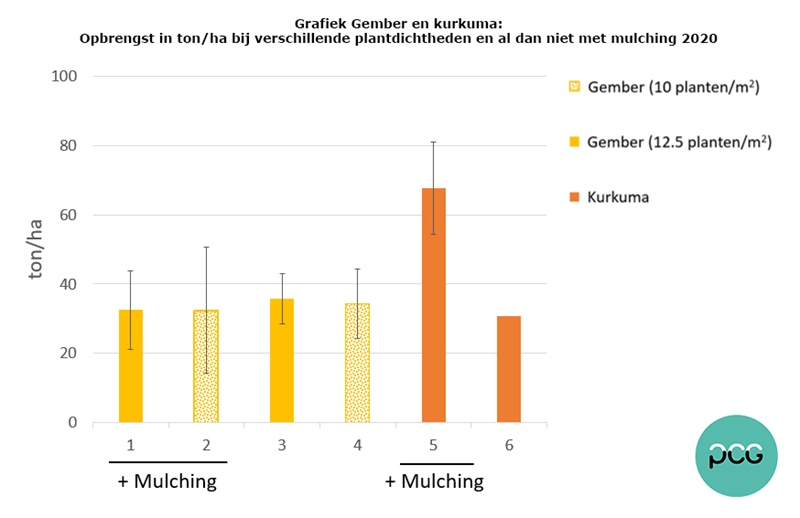 Grafiek: Opbrengstgegevens gember en kurkuma bij verschillende plantdichtheden en al dan niet met mulching
