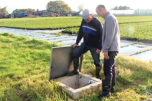 Vic Hannosset licht het deksel op van de waterput waarin het drainwater van het trayveld wordt opgevangen.