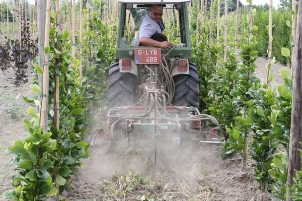 Bomen hoeven echt geen 100 ton stalmest