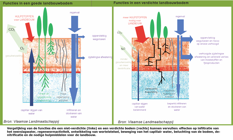 Figuur: Vergelijking van de functies die een niet-verdichte (links) en een verdichte bodem (rechts) kunnen vervullen.