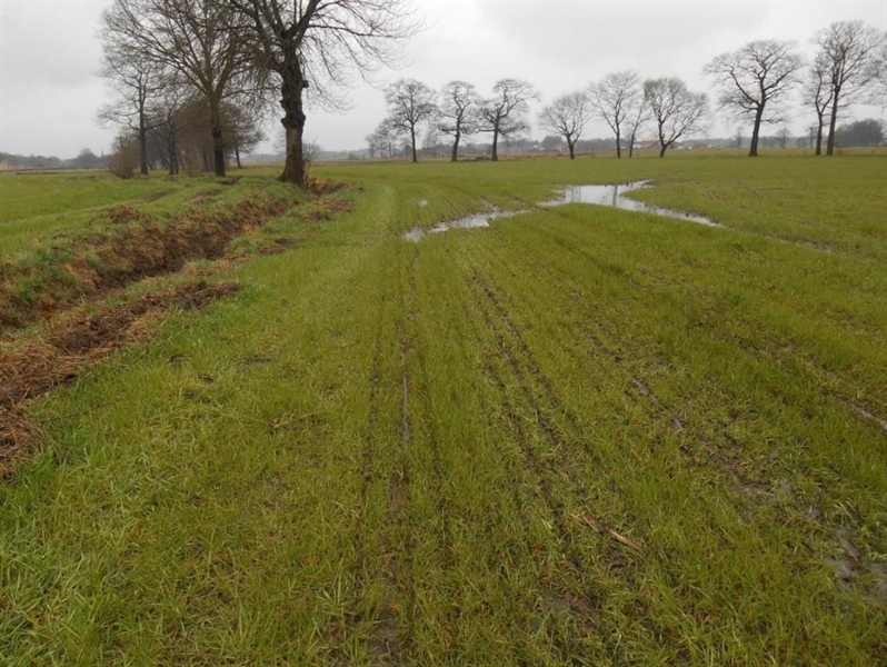 Foto 3: Combinatie van onvoldoende afstand van waterloop + ‘winter’ afwateringsgeulen niet dichtgemaakt alvorens te bemesten