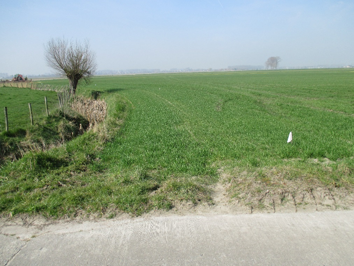 Foto 5: Landbouwer heeft de 5 meter-grens aangeduid met een vlagje.