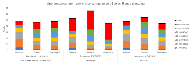 Opbrengstresultaten bataat 2023