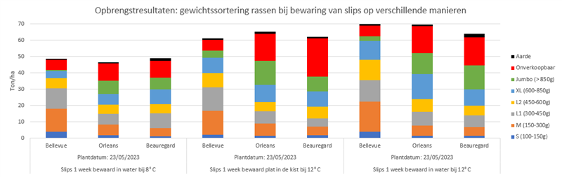 Opbrengstresultaten bataat 2023