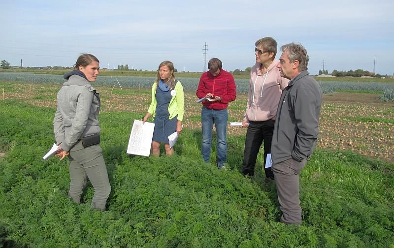 Proefveldbezoek intercropping